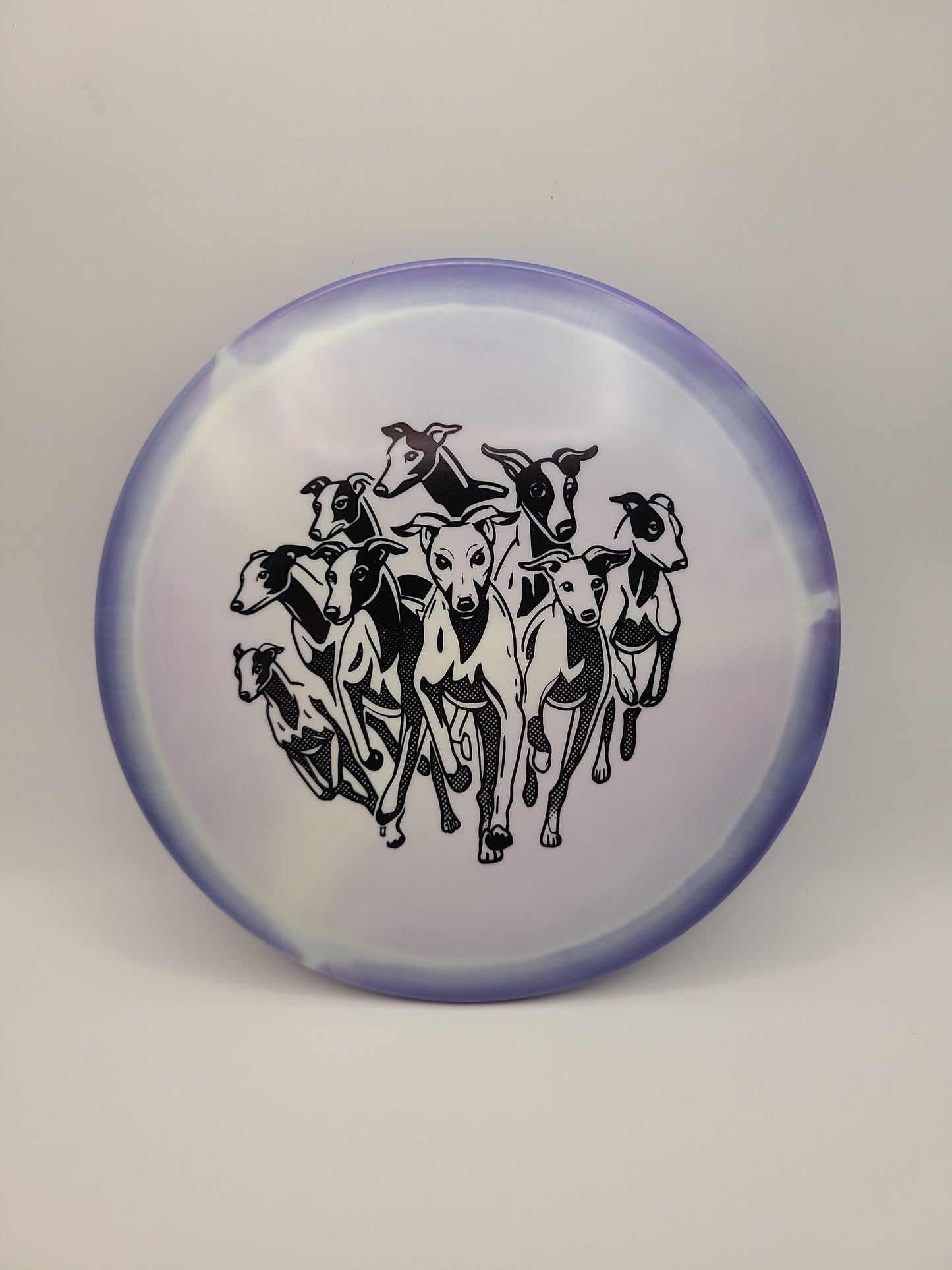 Innova Halo Star Whippet X Herd of Whippets
