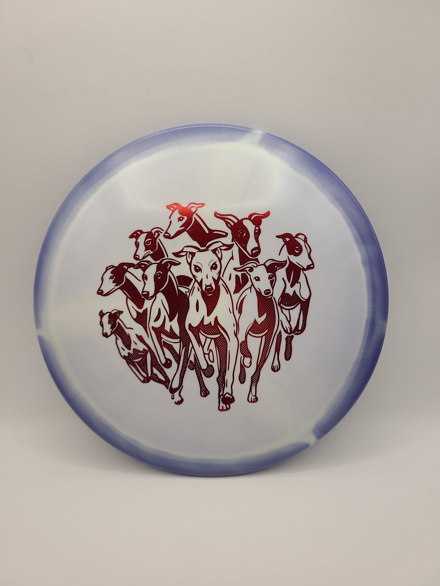 Innova Halo Star Whippet X Herd of Whippets
