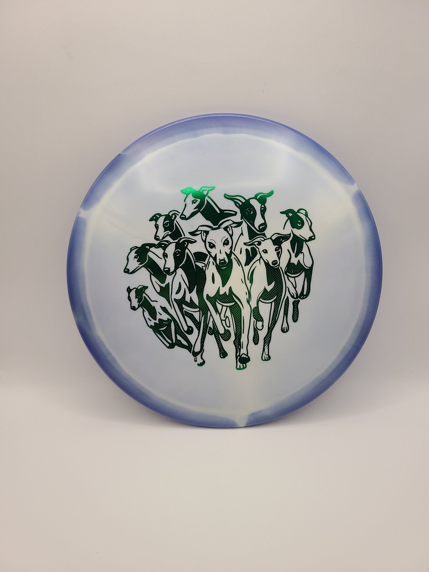 Innova Halo Star Whippet X Herd of Whippets