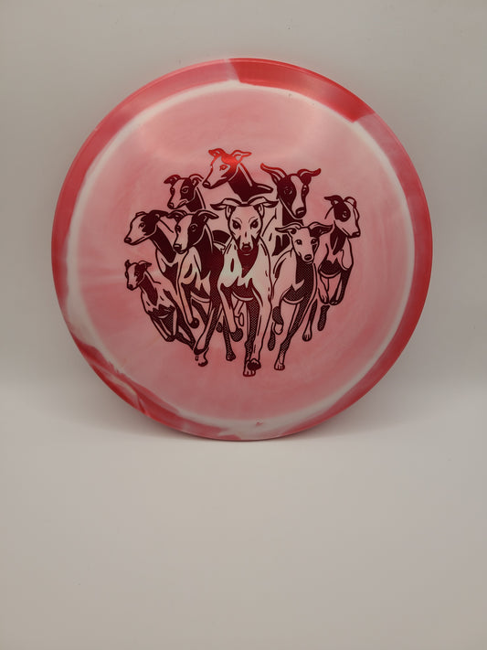 Innova Halo Star Whippet X Herd of Whippets